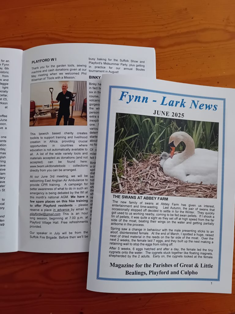 TWAM Playford WI writeup