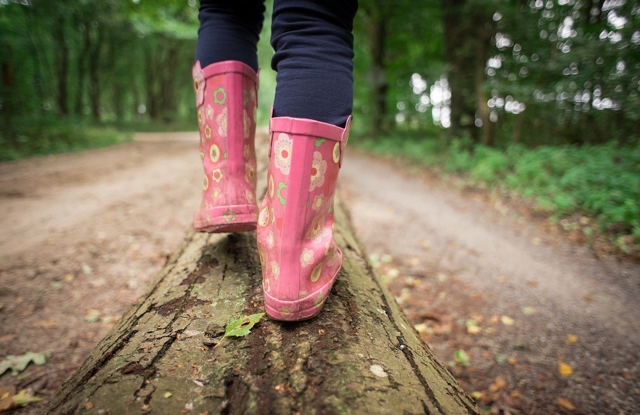 Martlesham Heath Guided Walk