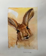 Hares and Teasels in Water Colour Pencils